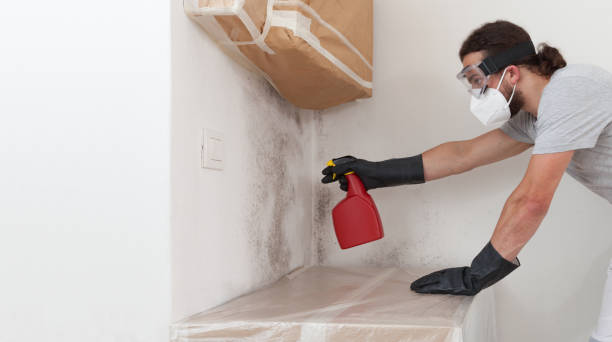 Professional Mold Remediation technician working in Leland, NC