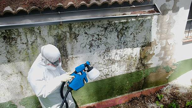 Top rated local Mold Remediation specialists in Leland, NC